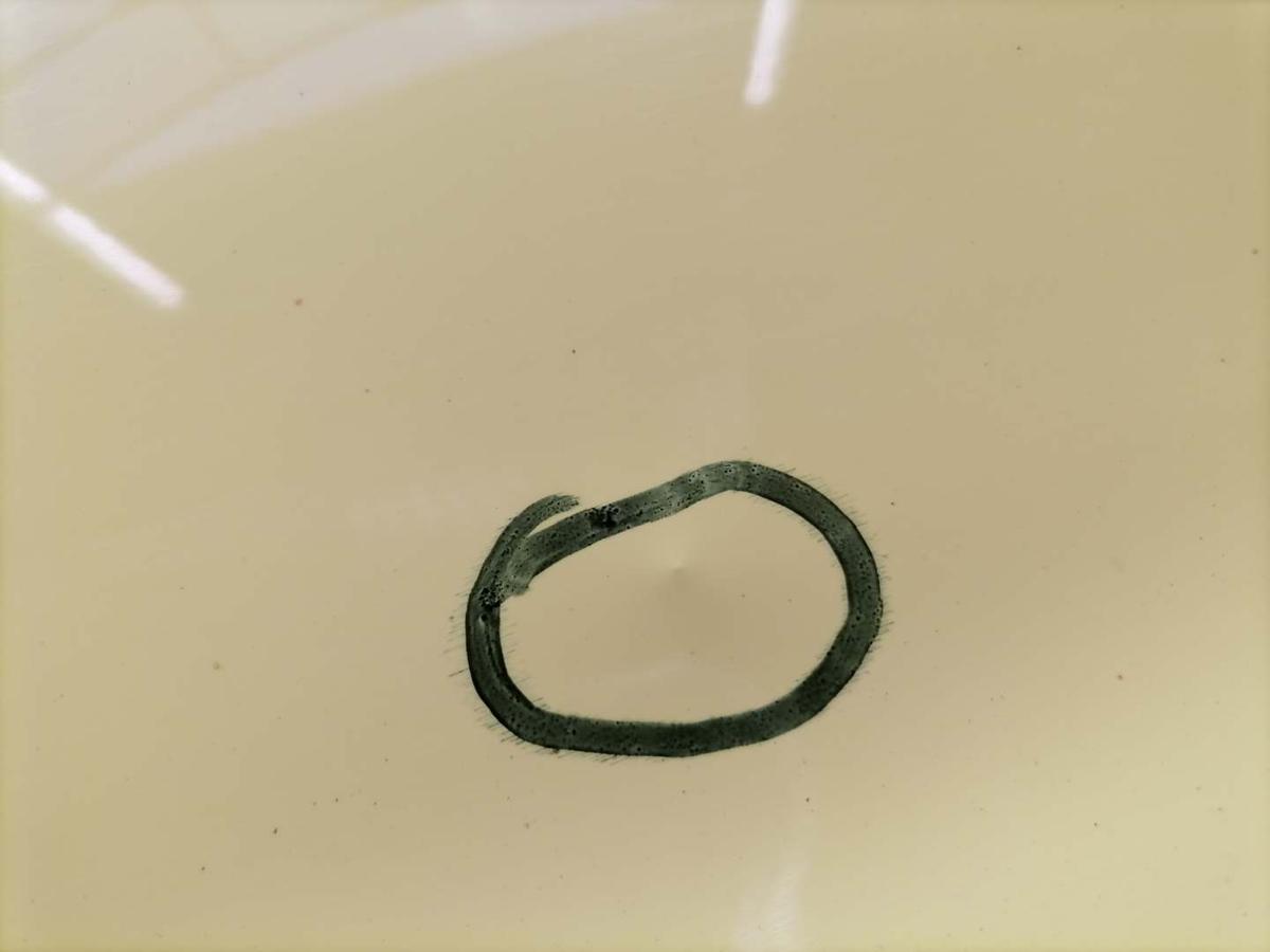 VW Fox original T&uuml;r vorn links LY1C Sonnengelb Bj.2006